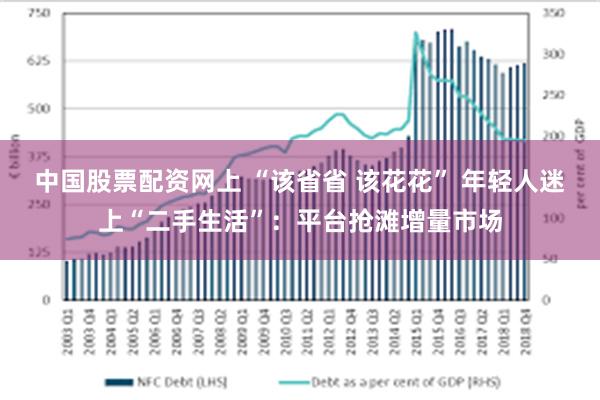 中国股票配资网上 “该省省 该花花” 年轻人迷上“二手生活”：平台抢滩增量市场