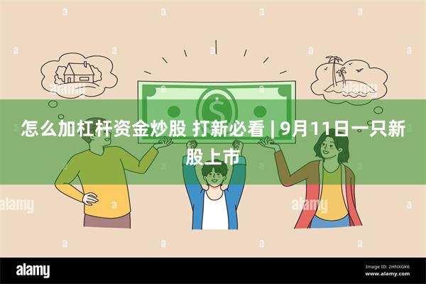 怎么加杠杆资金炒股 打新必看 | 9月11日一只新股上市