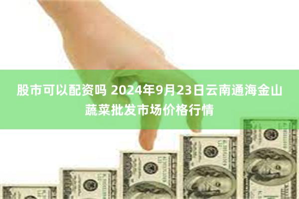 股市可以配资吗 2024年9月23日云南通海金山蔬菜批发市场价格行情