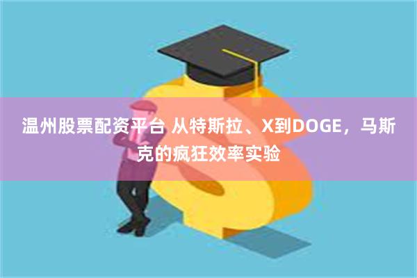 温州股票配资平台 从特斯拉、X到DOGE，马斯克的疯狂效率实验