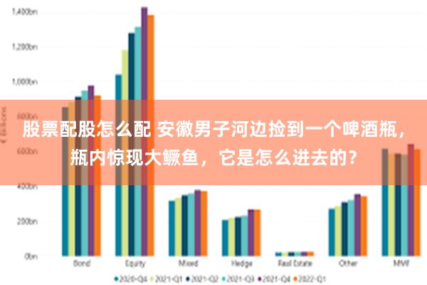 股票配股怎么配 安徽男子河边捡到一个啤酒瓶，瓶内惊现大鳜鱼，它是怎么进去的？