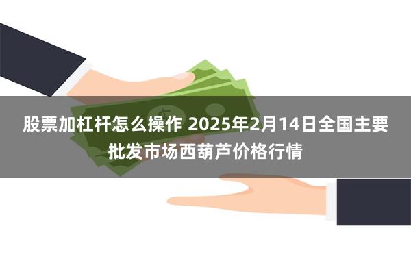 股票加杠杆怎么操作 2025年2月14日全国主要批发市场西葫芦价格行情